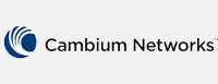 Cambium